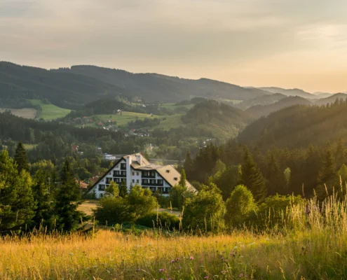 Mesit leto small Hotel Mesit léto